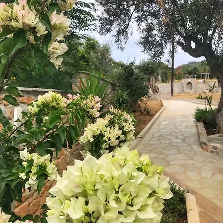 Azzurro 酒店 Katsaros (Skiathos)