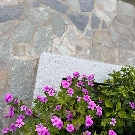 Azzurro Katsaros (Skiathos)