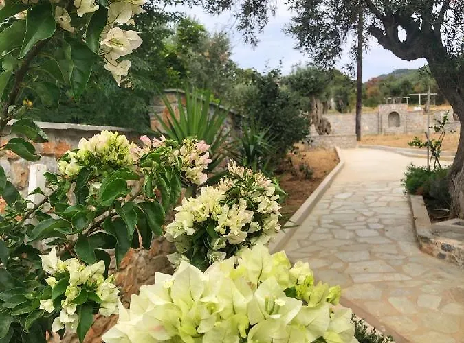 Azzurro Hotel Katsaros (Skiathos)