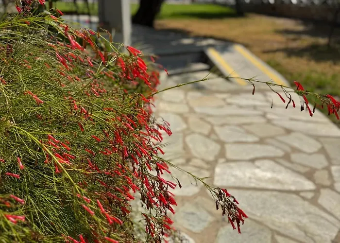 Azzurro * Katsaros (Skiathos)