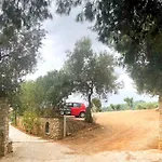 Azzurro فندق